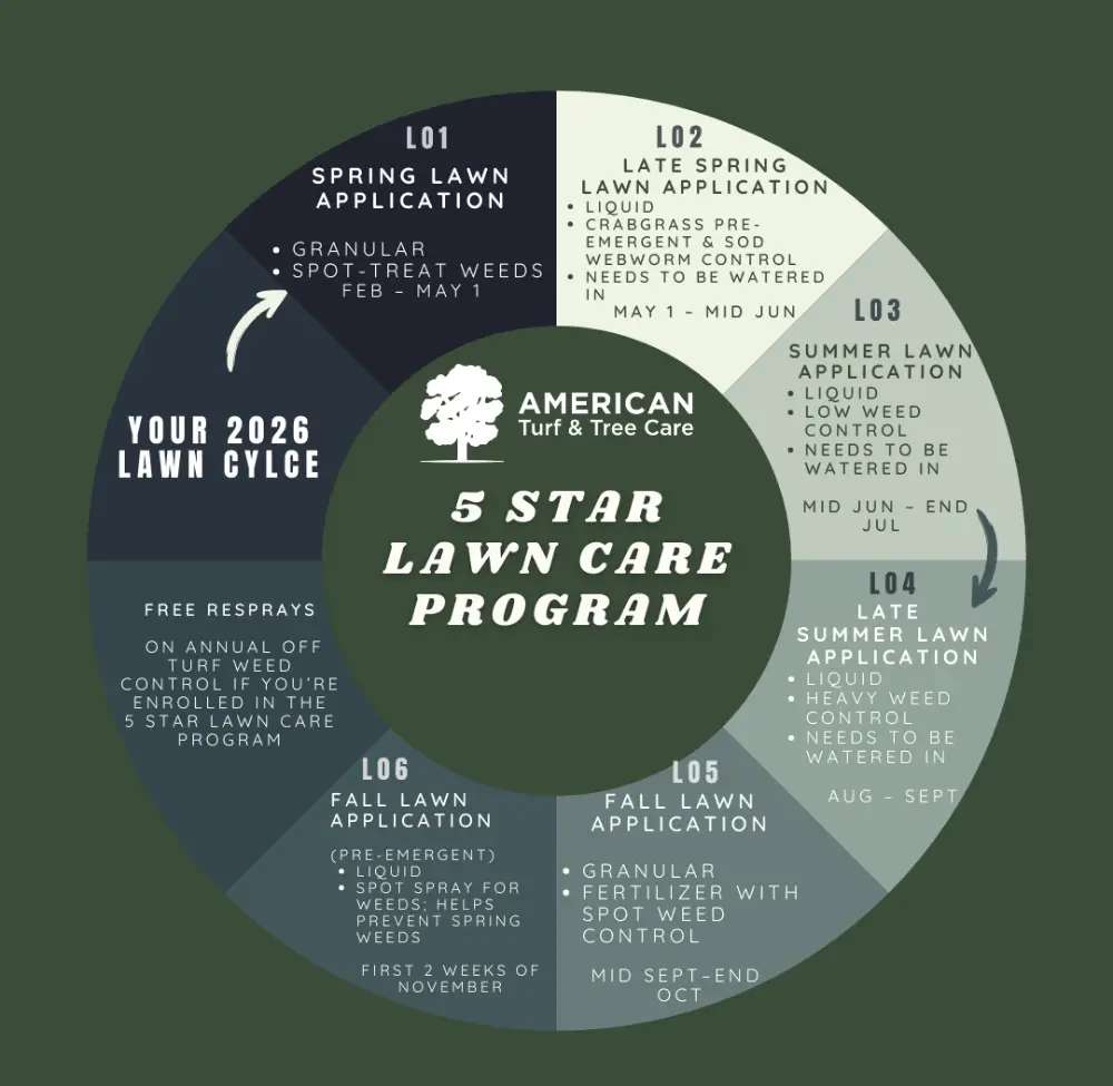 5-star-lawn-care-program-graphic