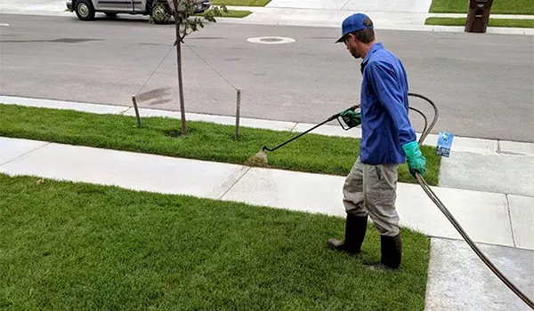 Tech spraying grass