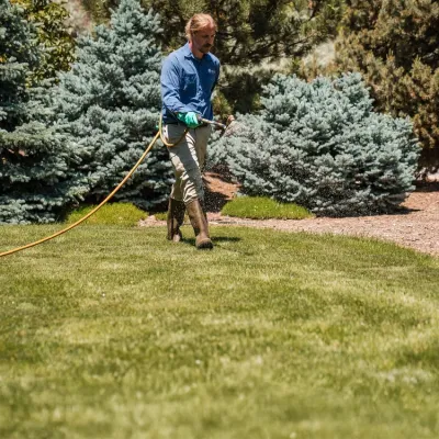 image-technician-spraying-weeds-in-lawn