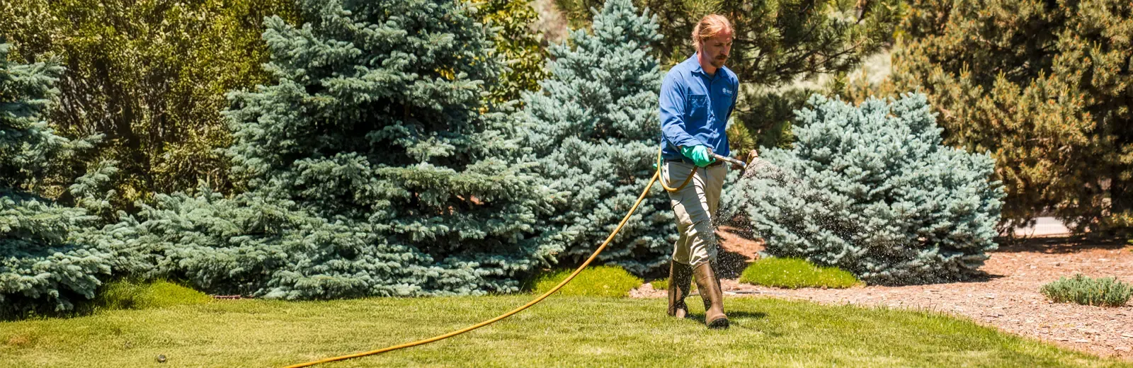 lawn-technician-working-on-lawn