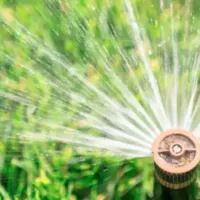 watering lawn