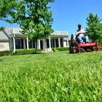 Homeowner with healthy, green spring lawn