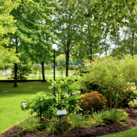 Tree & Lawn Care recap