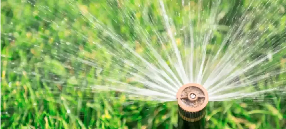 watering lawn