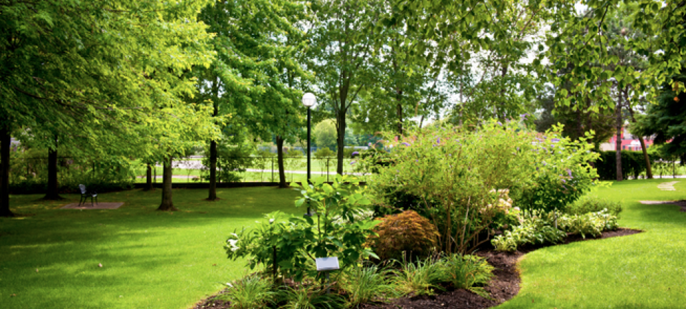 Tree & Lawn Care recap