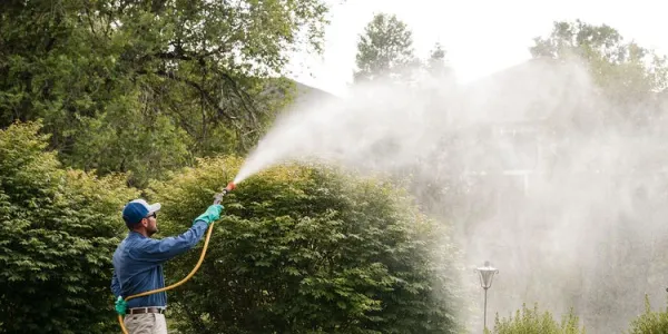 technicians spraying shrubs