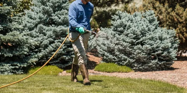 image-technician-spraying-weeds-in-lawn