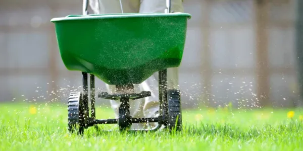 lawn-fertilizer