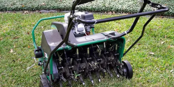 lawn aeration