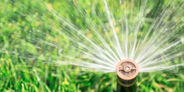 watering lawn