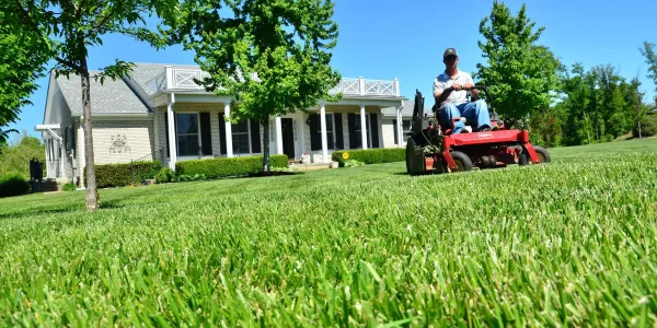 Homeowner with healthy, green spring lawn