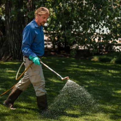 image-spraying-lawn