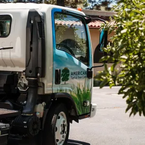 company vehicle