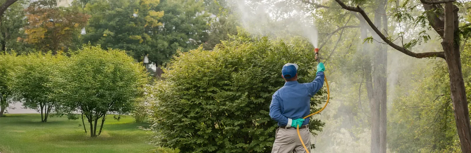 hero-spraying-trees