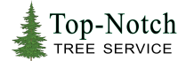 top-notch tree service